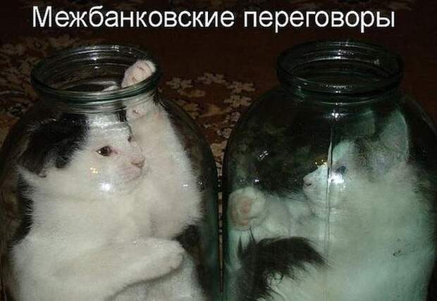 Прикольные картинки (101 фото) Прикольные картинки (101 фото)