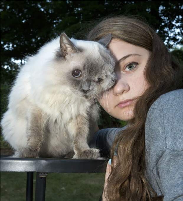 Амели и одноглазый кот