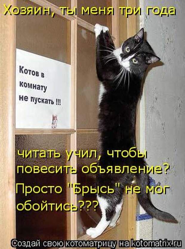 Мысли вслух :)
