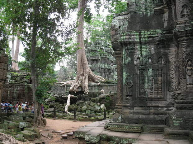 Храмовый комплекс Ангкор-Ват: вечная битва природы с человеческим гением