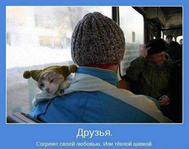 Мотиваторы VII Мотиваторы