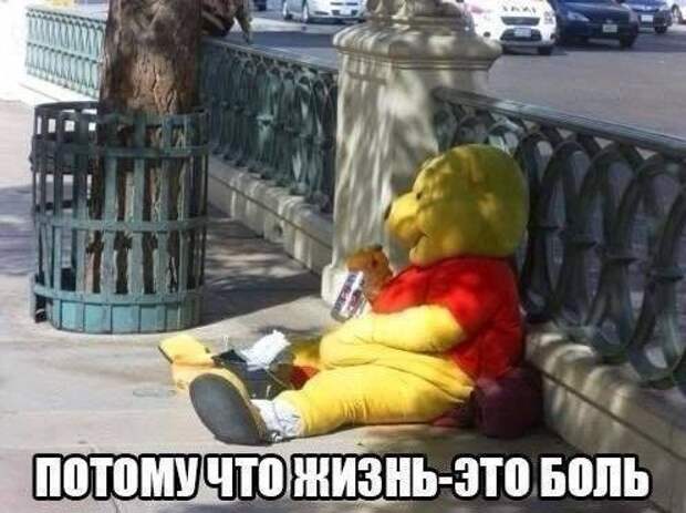 Смешные картинки с надписями прикол, юмор