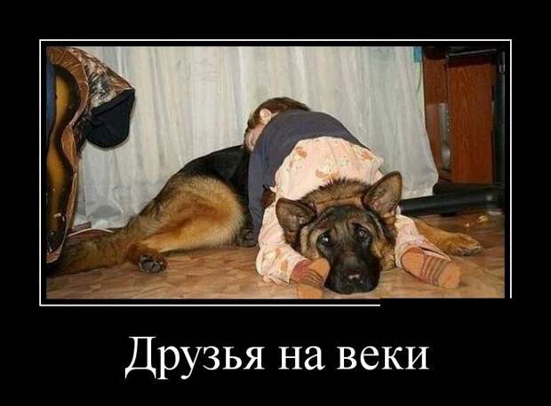 Демотиваторы демотиваторы, прикол, смех, юмор