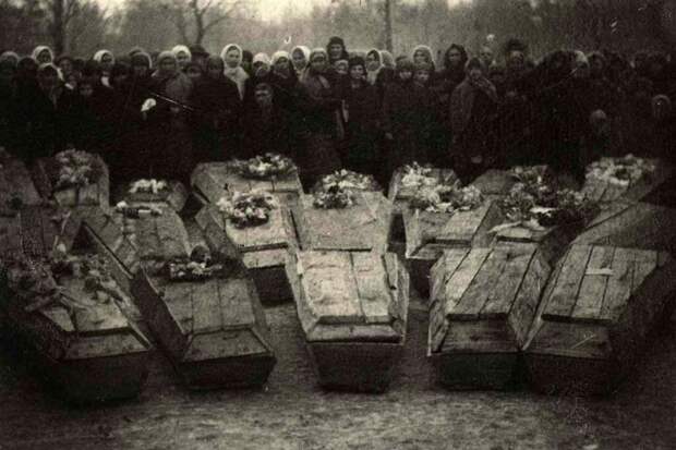Правда о Молодой Гвардии и почему Александр Фадеев пожалел читателей Молодая Гвардия, факты