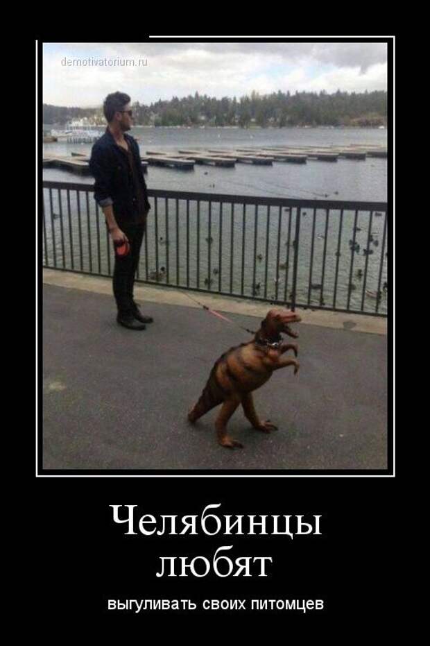 Демотиваторы (30 фото) Демотиваторы (30 фото)