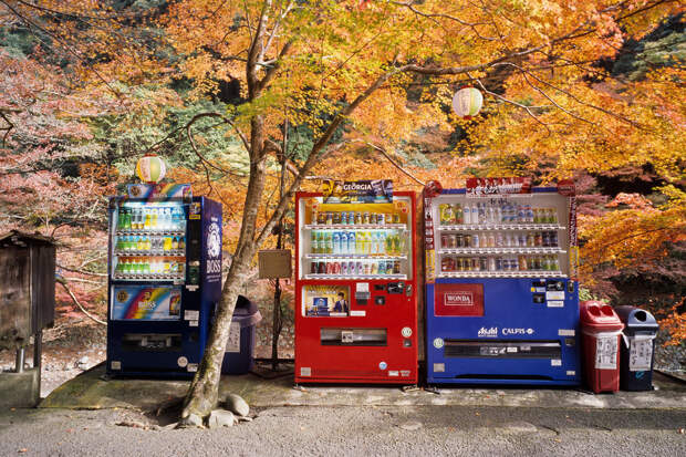 21. Невероятное количество торговых автоматов страна, сумасшествие, япония