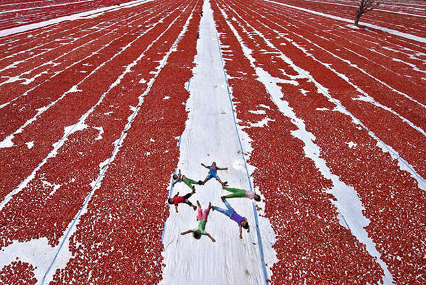 Лучшее с конкурса фотографии National Geographic 2014. Часть 2