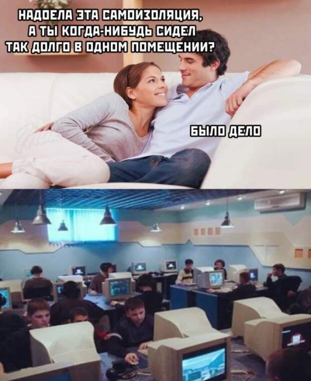 Новые приколы картинки