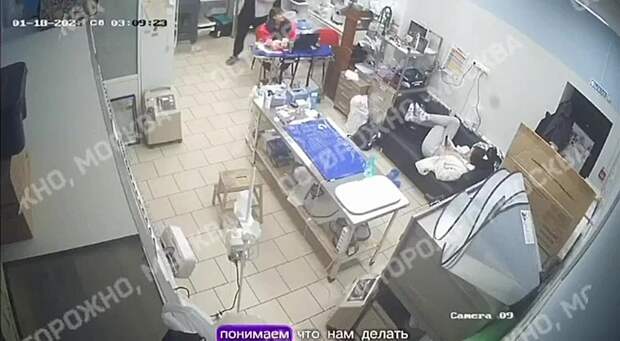 «Я на глазок всё делала»: в Москве частные ветеринары два часа наблюдали, как умирает собака, и смеялись над её хозяйкой.