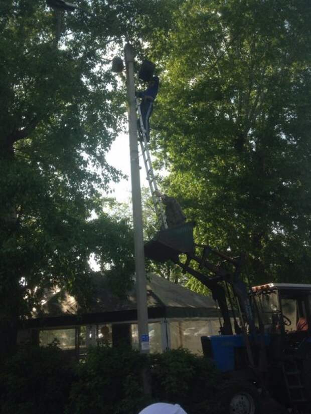 Картинки прикольные и настроение будет хорошим.