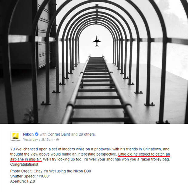 Nikon наградил автора фото, сделанного в фотошопе, и вот как ответили на это пользователи сети