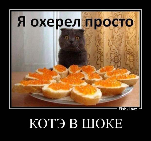 Демотиваторы демотиваторы, картинки, приколы