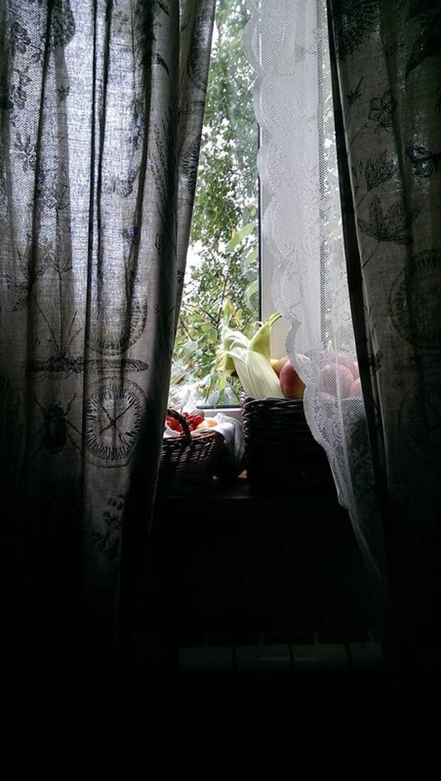 IMAG7458.jpg IMAG7458.jpg