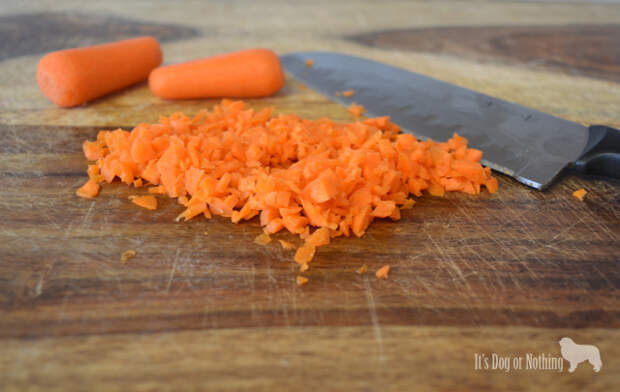 Revel Frozen Treats - The Honest Kitchen