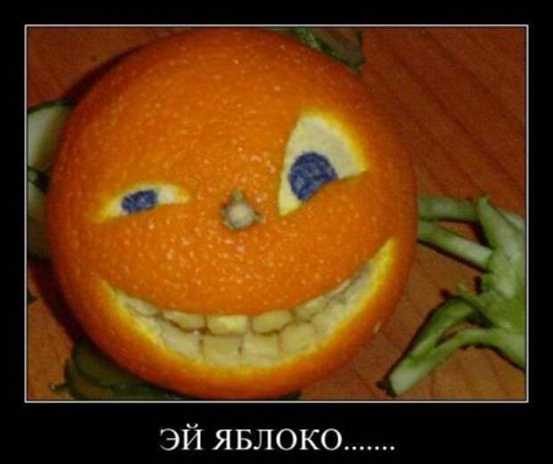 Демотиваторы новые, надписи и фото прикольные.