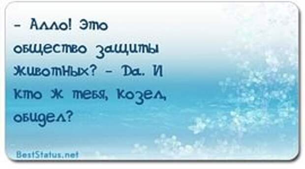 Новости: И кто ж тебя, козёл, обидел?