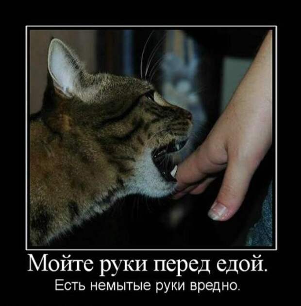 6 (480x487, 44Kb)