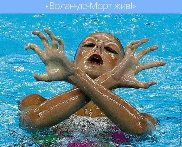 Эти забавные синхронистки  вода, синхронистки, спорт, юмор
