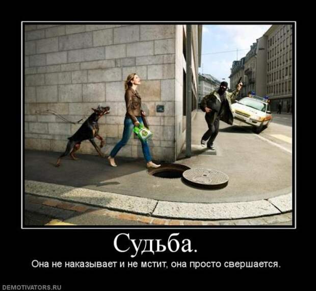 Демотиваторы