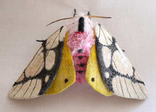 Textile Moth and Butterfly Sculptures by Yumi Okita textiles sculpture moths insects butterflies 
