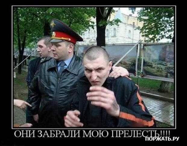 Демы как они есть