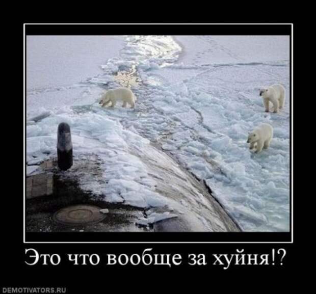 Веселые демотиваторы, и только новые!!!