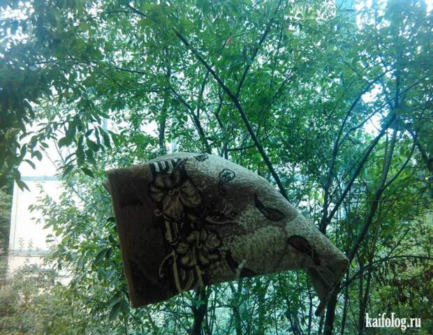 Приколы про ковры (45 фото)