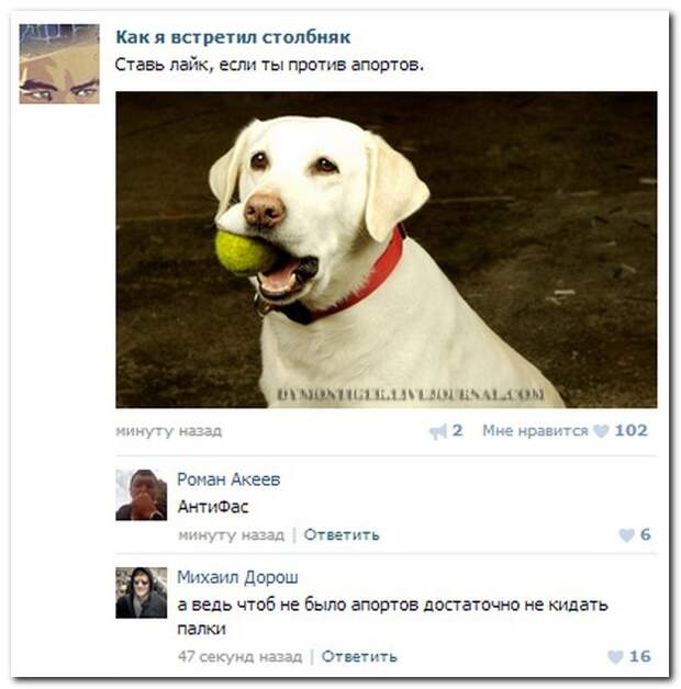 Смешные комментарии из социальных сетей 31.07.14  комментарии, прикол, соцсети, юмор