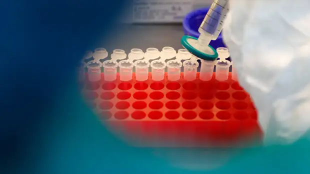 В России за сутки подтверждено 7176 случаев коронавируса