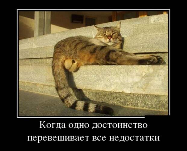 Демотиваторы бревно, демотиваторы, юмор