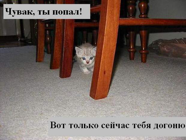 Мысли :) (50мыслей)