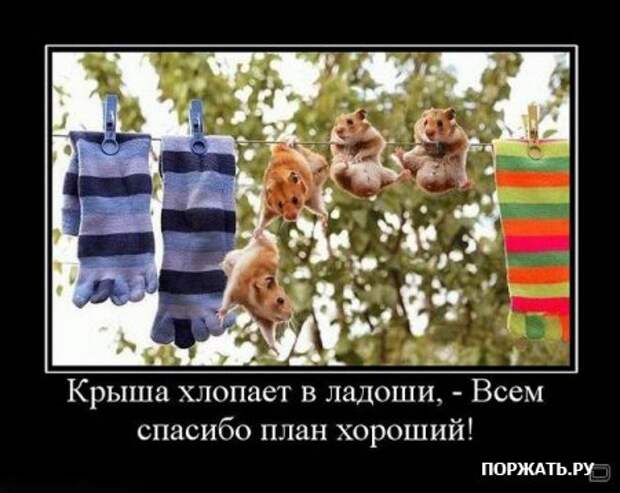 Демы как они есть