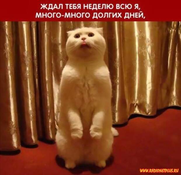 Неужели ПЯТНИЦА?!!