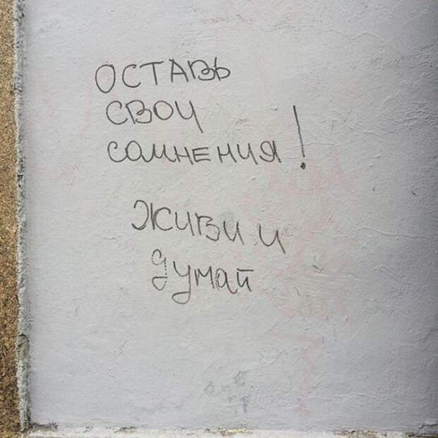 Философские надписи на стенах, которым место в учебниках