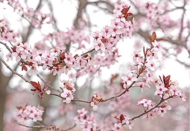 Погода 9 марта: днём до +11