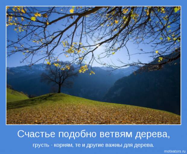 Немного картинок мотиваторов для раздумий.