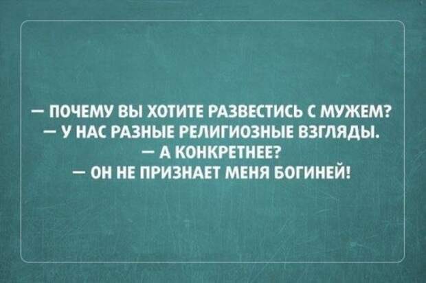 Прикольные картинки и фото (41 шт)