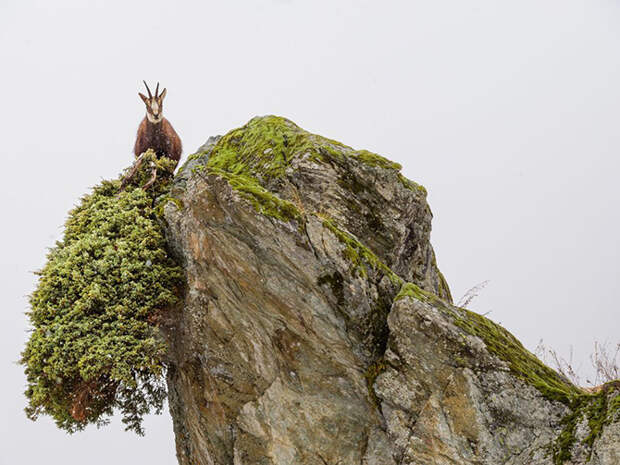 Лучшие фотографии марта от журнала National Geographic