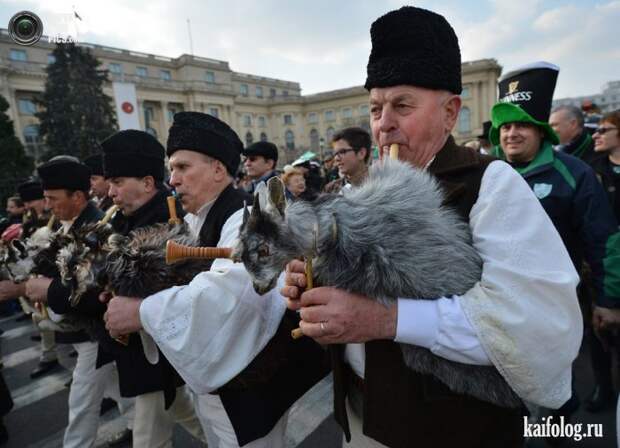 День святого Патрика (45 фото) День святого Патрика (45 фото)