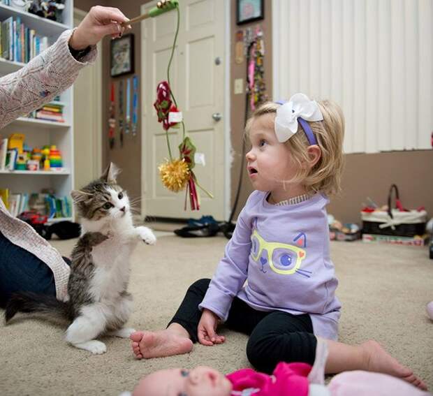 До слез: Девочка без руки и трехлапый котенок нашли друг друга