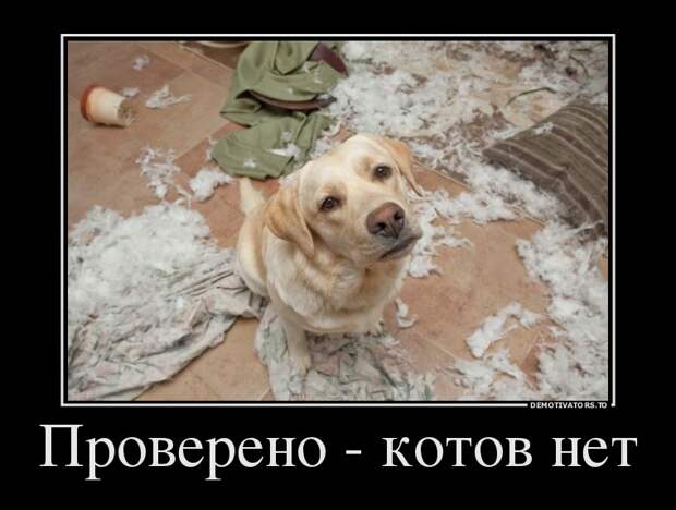 Демотиваторы демотиваторы, прикол, смех, юмор