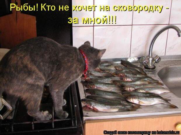 Мысли вслух :)