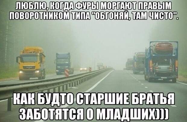 Смешные картинки с надписями прикол, юмор