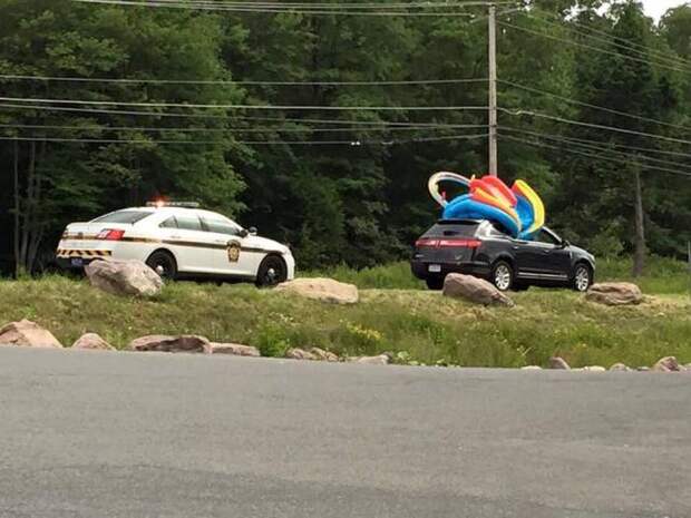 Прикольные картинки (90 фото) Прикольные картинки (90 фото)