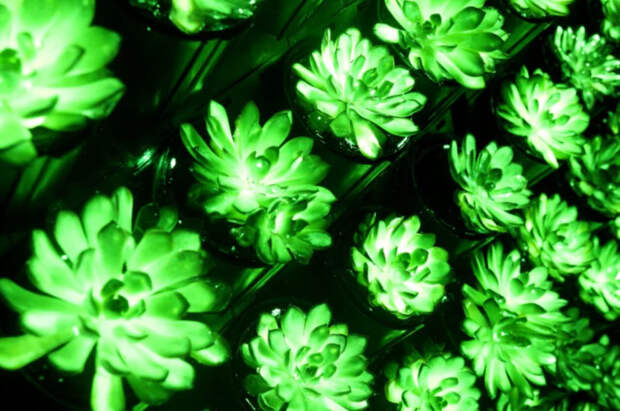 photo_2025-09-04_02-13-40