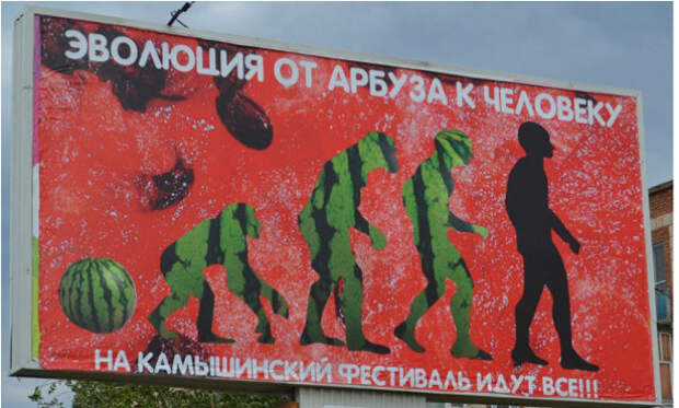 маразмы в жизни (4)