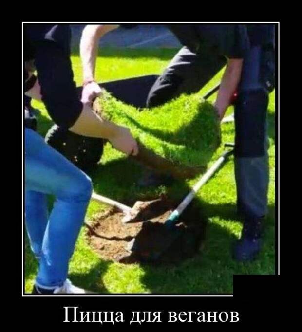 Демотиваторы (20 фото)