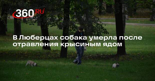 В Люберцах собака умерла после отравления крысиным ядом