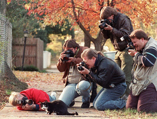 Безумные фотографы