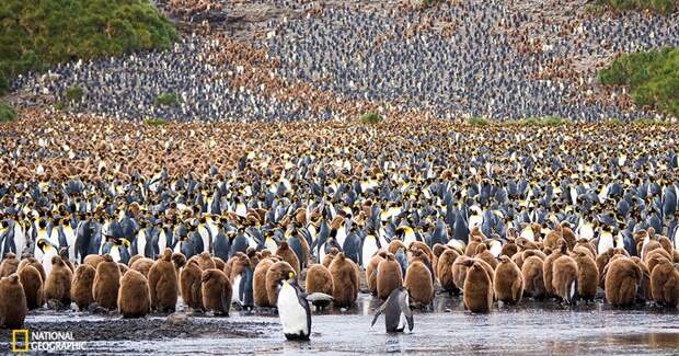 nat-geo-photo-contest-cover